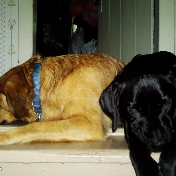 NO SHIPPING MON THRU THURSDAY 😢 SHIPPING ONLY FRIDAY AND SATURDAY sorry - Picture 17 of 17